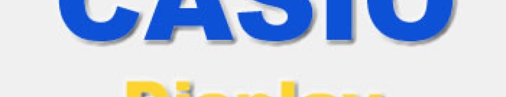 CASIO Display Panel