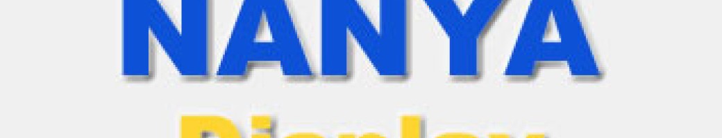 NANYA Display Panel