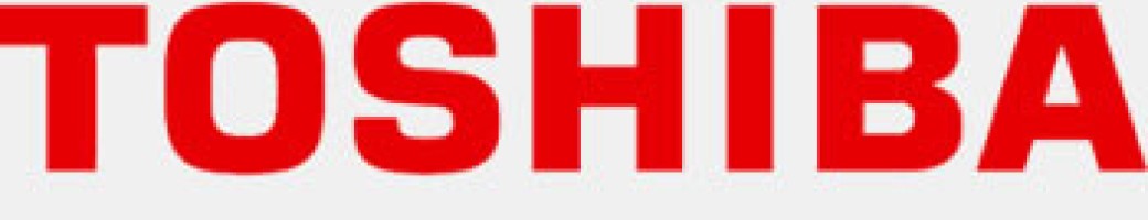 TOSHIBA Display Panel