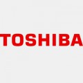 TOSHIBA Display Panel